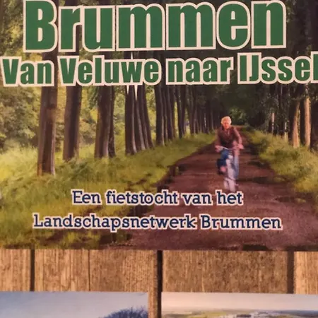 The Rose Brummen