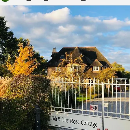 The Rose Apartamento Brummen